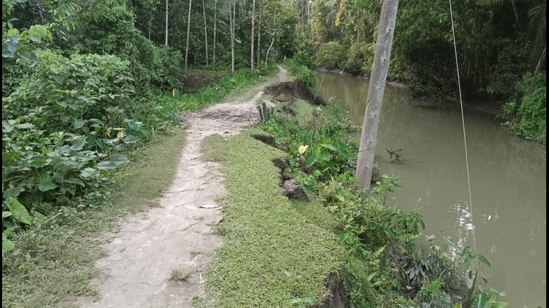 ৫৪ বছরেও উন্নয়নের ছোঁয়া পায়নি যে রাস্তা!