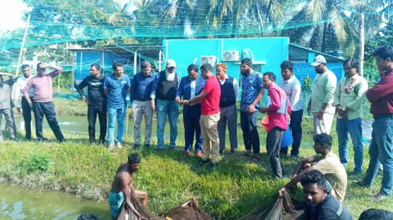 গবেষণায় চমক: অর্ধেক ফিডে দ্বিগুণ তেলাপিয়া